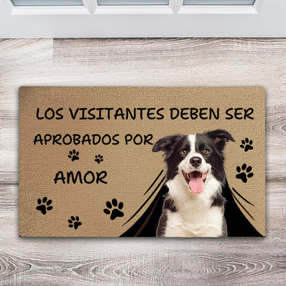 Los Visitantes Deben ser Aprobados - Regalo para dueños de mascotas - Felpudo personalizado